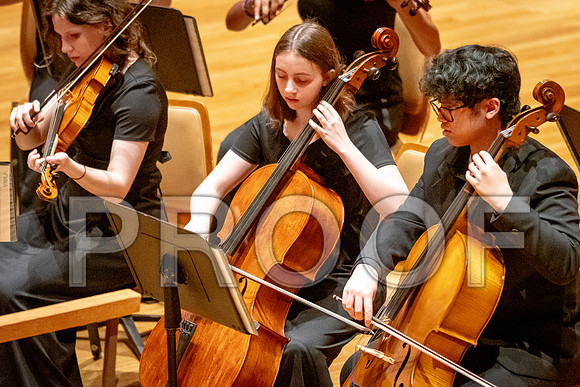 2024 University of Illinois High School Orchestra ClinicFebruary 24, 2024
