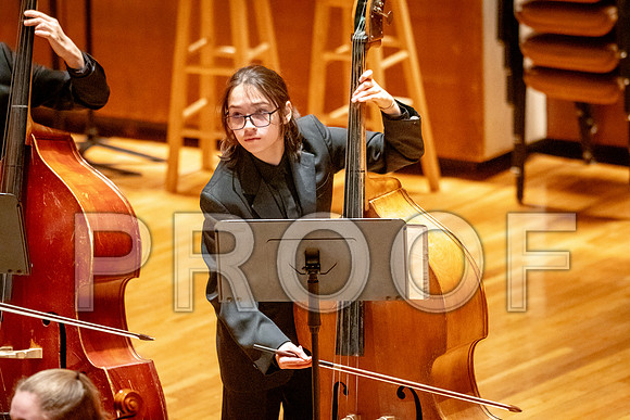 2024 University of Illinois High School Orchestra ClinicFebruary 24, 2024