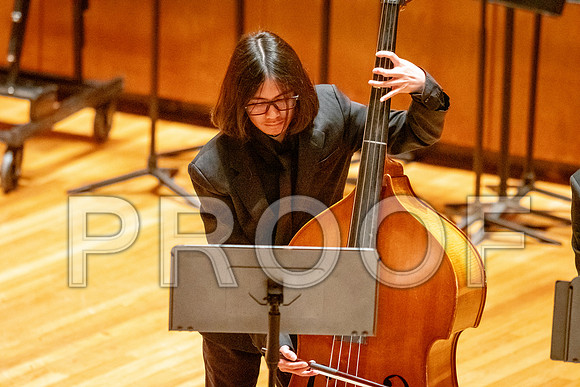 2024 University of Illinois High School Orchestra ClinicFebruary 24, 2024