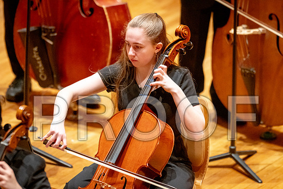 2024 University of Illinois High School Orchestra ClinicFebruary 24, 2024
