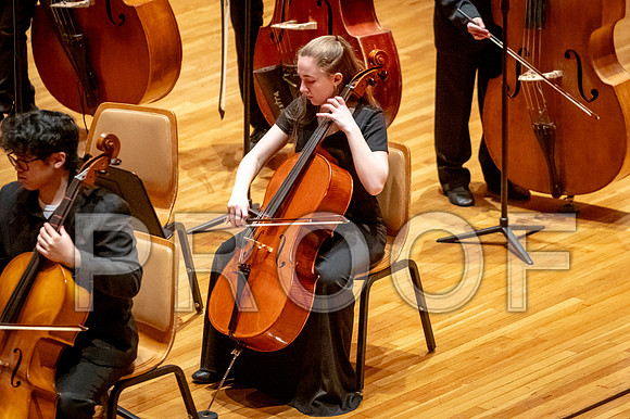 2024 University of Illinois High School Orchestra ClinicFebruary 24, 2024