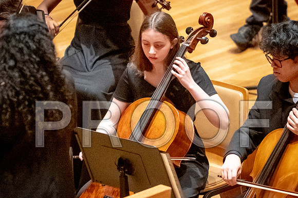 2024 University of Illinois High School Orchestra ClinicFebruary 24, 2024