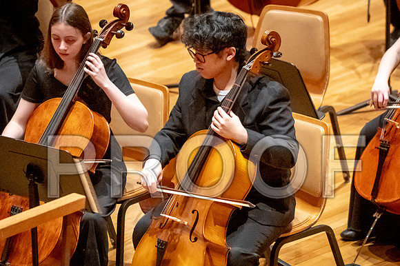 2024 University of Illinois High School Orchestra ClinicFebruary 24, 2024