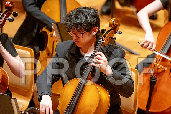 2024 University of Illinois High School Orchestra ClinicFebruary 24, 2024