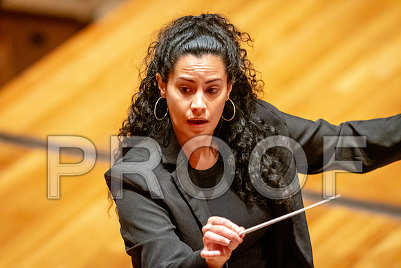 2024 University of Illinois High School Orchestra ClinicFebruary 24, 2024