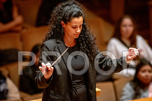 2024 University of Illinois High School Orchestra ClinicFebruary 24, 2024