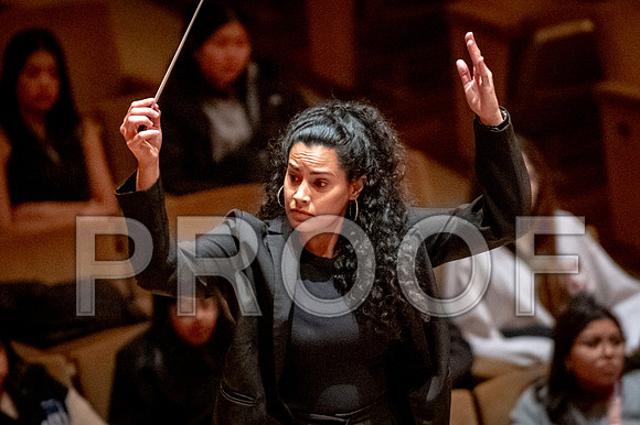 2024 University of Illinois High School Orchestra ClinicFebruary 24, 2024