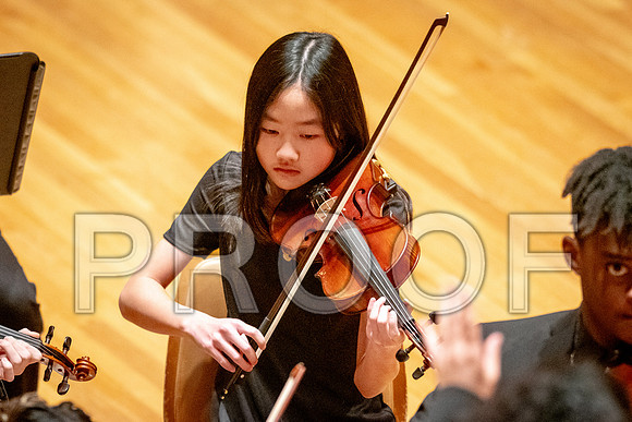 2024 University of Illinois High School Orchestra ClinicFebruary 24, 2024