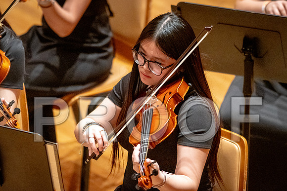 2024 University of Illinois High School Orchestra ClinicFebruary 24, 2024