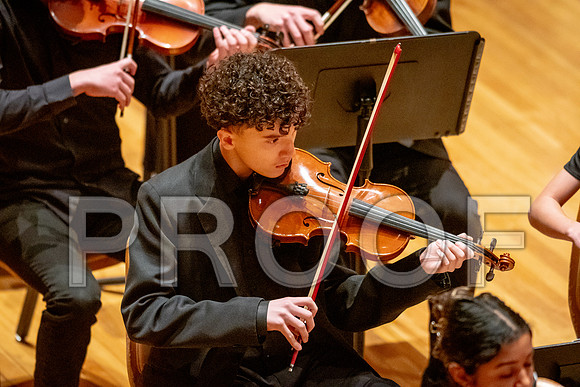 2024 University of Illinois High School Orchestra ClinicFebruary 24, 2024
