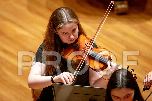 2024 University of Illinois High School Orchestra ClinicFebruary 24, 2024