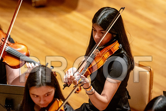 2024 University of Illinois High School Orchestra ClinicFebruary 24, 2024