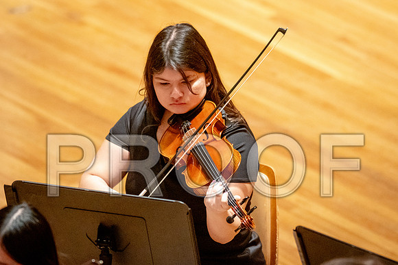 2024 University of Illinois High School Orchestra ClinicFebruary 24, 2024
