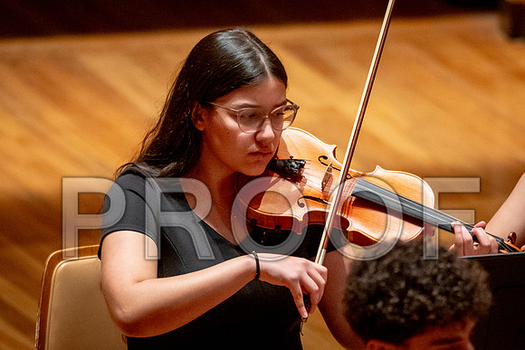 2024 University of Illinois High School Orchestra ClinicFebruary 24, 2024