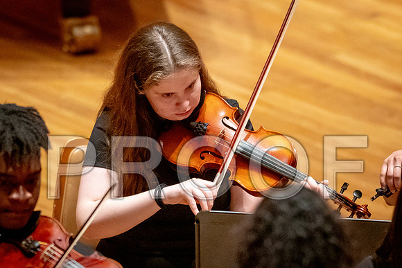 2024 University of Illinois High School Orchestra ClinicFebruary 24, 2024