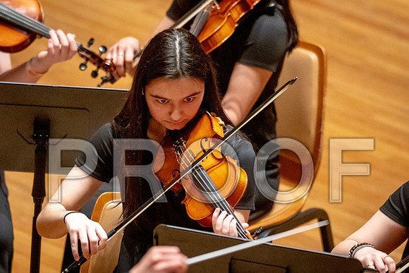 2024 University of Illinois High School Orchestra ClinicFebruary 24, 2024