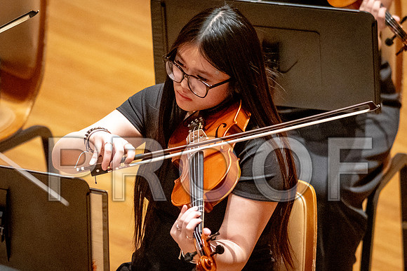 2024 University of Illinois High School Orchestra ClinicFebruary 24, 2024