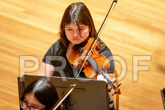 2024 University of Illinois High School Orchestra ClinicFebruary 24, 2024