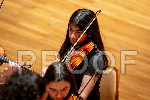 2024 University of Illinois High School Orchestra ClinicFebruary 24, 2024
