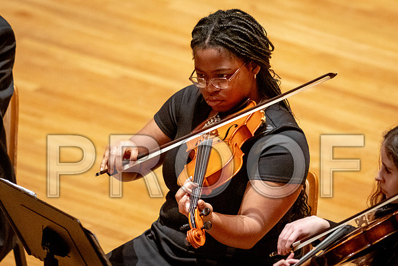 2024 University of Illinois High School Orchestra ClinicFebruary 24, 2024