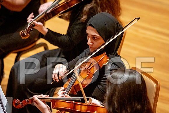 2024 University of Illinois High School Orchestra ClinicFebruary 24, 2024
