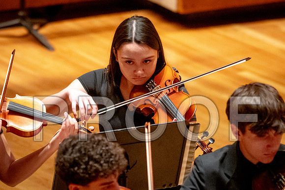2024 University of Illinois High School Orchestra ClinicFebruary 24, 2024