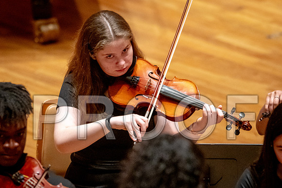 2024 University of Illinois High School Orchestra ClinicFebruary 24, 2024