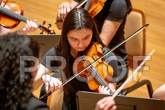 2024 University of Illinois High School Orchestra ClinicFebruary 24, 2024