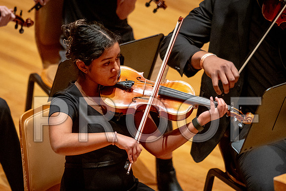 2024 University of Illinois High School Orchestra ClinicFebruary 24, 2024