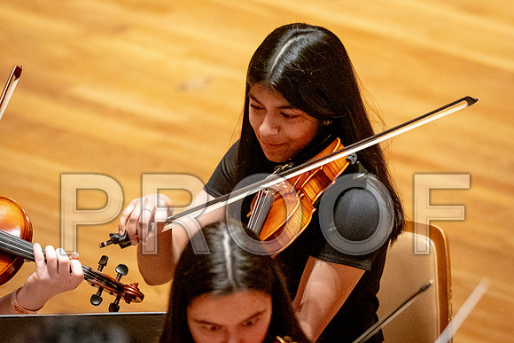 2024 University of Illinois High School Orchestra ClinicFebruary 24, 2024
