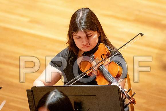 2024 University of Illinois High School Orchestra ClinicFebruary 24, 2024