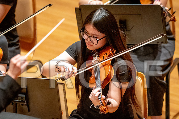 2024 University of Illinois High School Orchestra ClinicFebruary 24, 2024