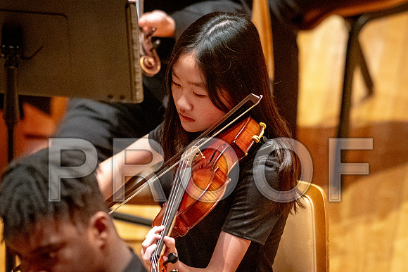 2024 University of Illinois High School Orchestra ClinicFebruary 24, 2024