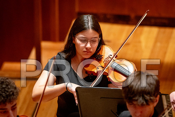 2024 University of Illinois High School Orchestra ClinicFebruary 24, 2024