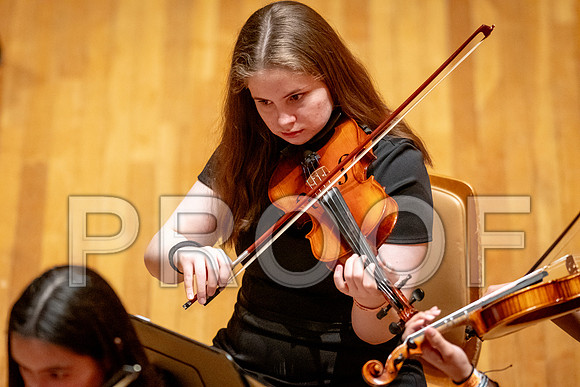 2024 University of Illinois High School Orchestra ClinicFebruary 24, 2024