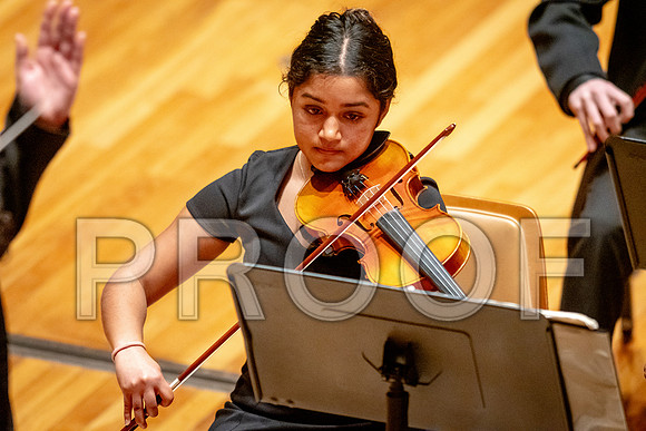 2024 University of Illinois High School Orchestra ClinicFebruary 24, 2024