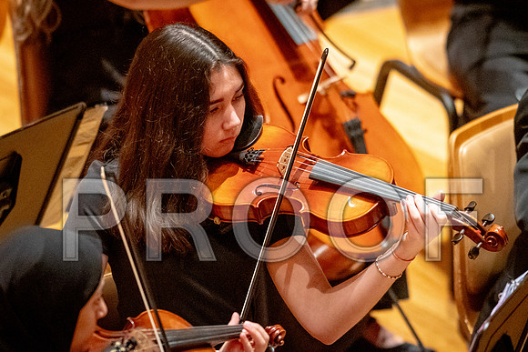 2024 University of Illinois High School Orchestra ClinicFebruary 24, 2024