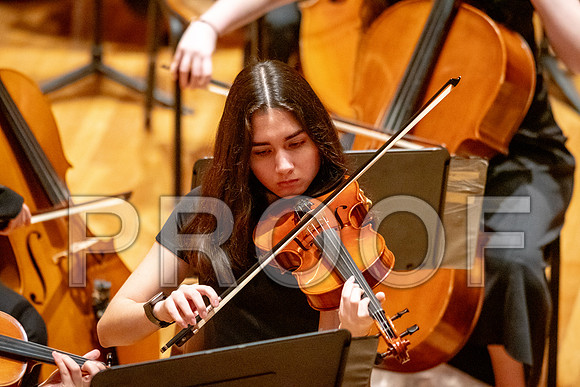 2024 University of Illinois High School Orchestra ClinicFebruary 24, 2024