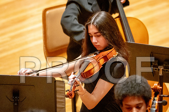 2024 University of Illinois High School Orchestra ClinicFebruary 24, 2024