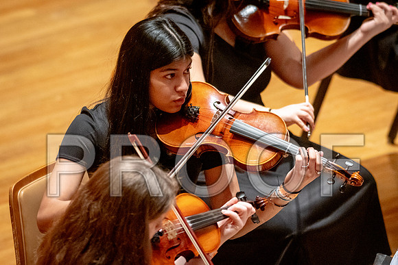 2024 University of Illinois High School Orchestra ClinicFebruary 24, 2024