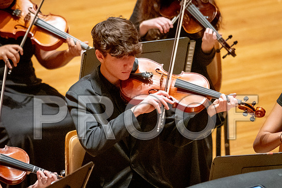 2024 University of Illinois High School Orchestra ClinicFebruary 24, 2024
