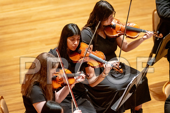 2024 University of Illinois High School Orchestra ClinicFebruary 24, 2024