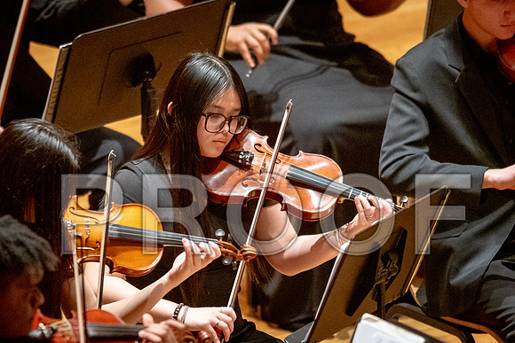 2024 University of Illinois High School Orchestra ClinicFebruary 24, 2024