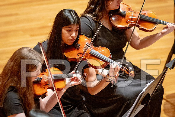 2024 University of Illinois High School Orchestra ClinicFebruary 24, 2024