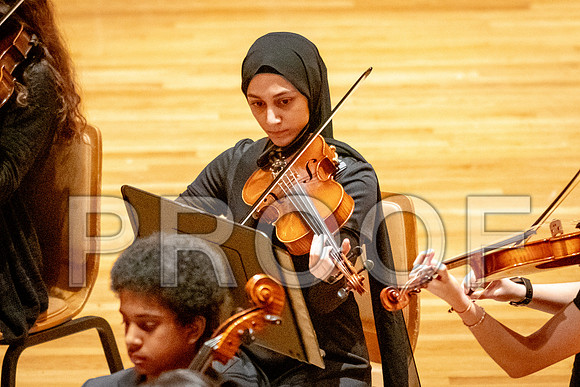 2024 University of Illinois High School Orchestra ClinicFebruary 24, 2024