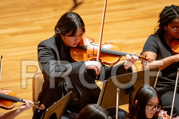 2024 University of Illinois High School Orchestra ClinicFebruary 24, 2024