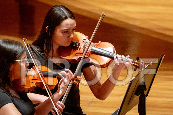 2024 University of Illinois High School Orchestra ClinicFebruary 24, 2024