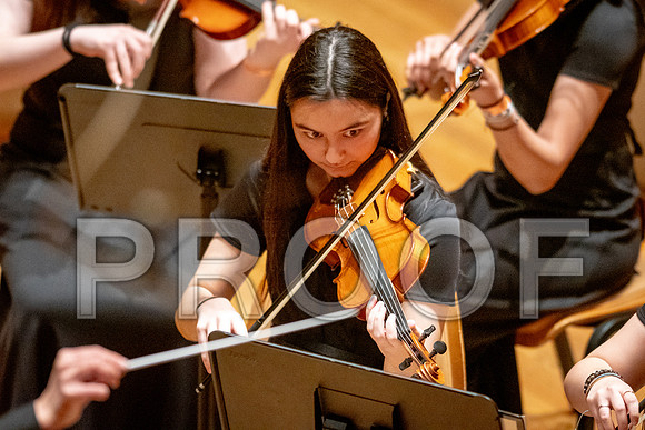 2024 University of Illinois High School Orchestra ClinicFebruary 24, 2024