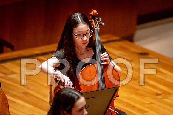 2024 University of Illinois High School Orchestra ClinicFebruary 24, 2024