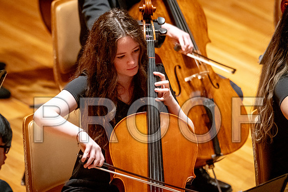 2024 University of Illinois High School Orchestra ClinicFebruary 24, 2024